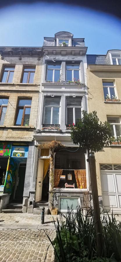 La Maison Des Vacances Apartment Брюксел Екстериор снимка